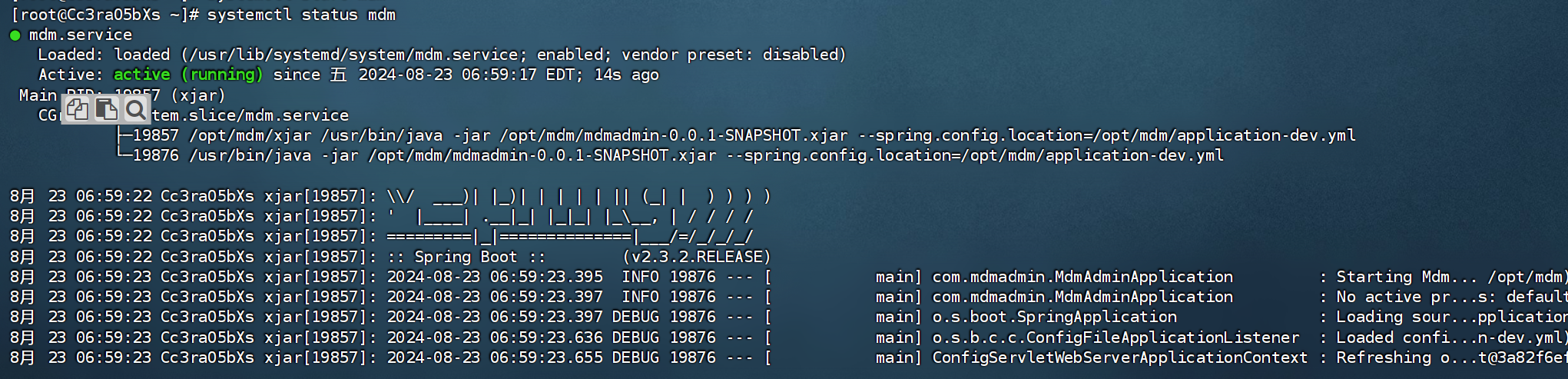 image-20240823185946434